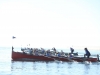 519A1791