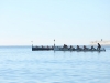 519A1801