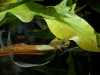 SAM_1547