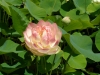 SAM_1566