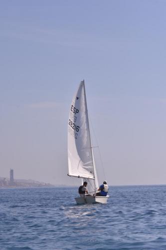 FER 9031