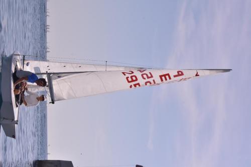 FER 9039