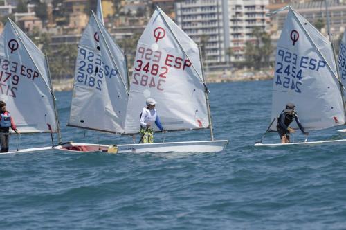 FMS0378