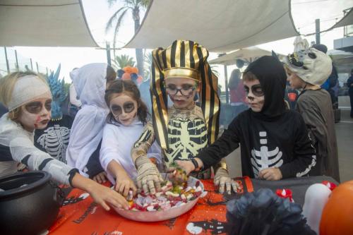 fiesta-hallowed203