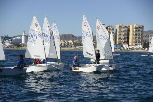 FMS0644