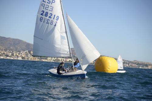 FMS0737