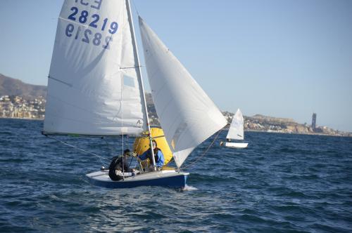 FMS0741